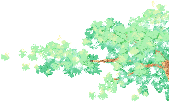 p4hmQt4QRqul8w4t.jpg