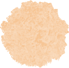TBCy8988rkZSZbT1.jpg
