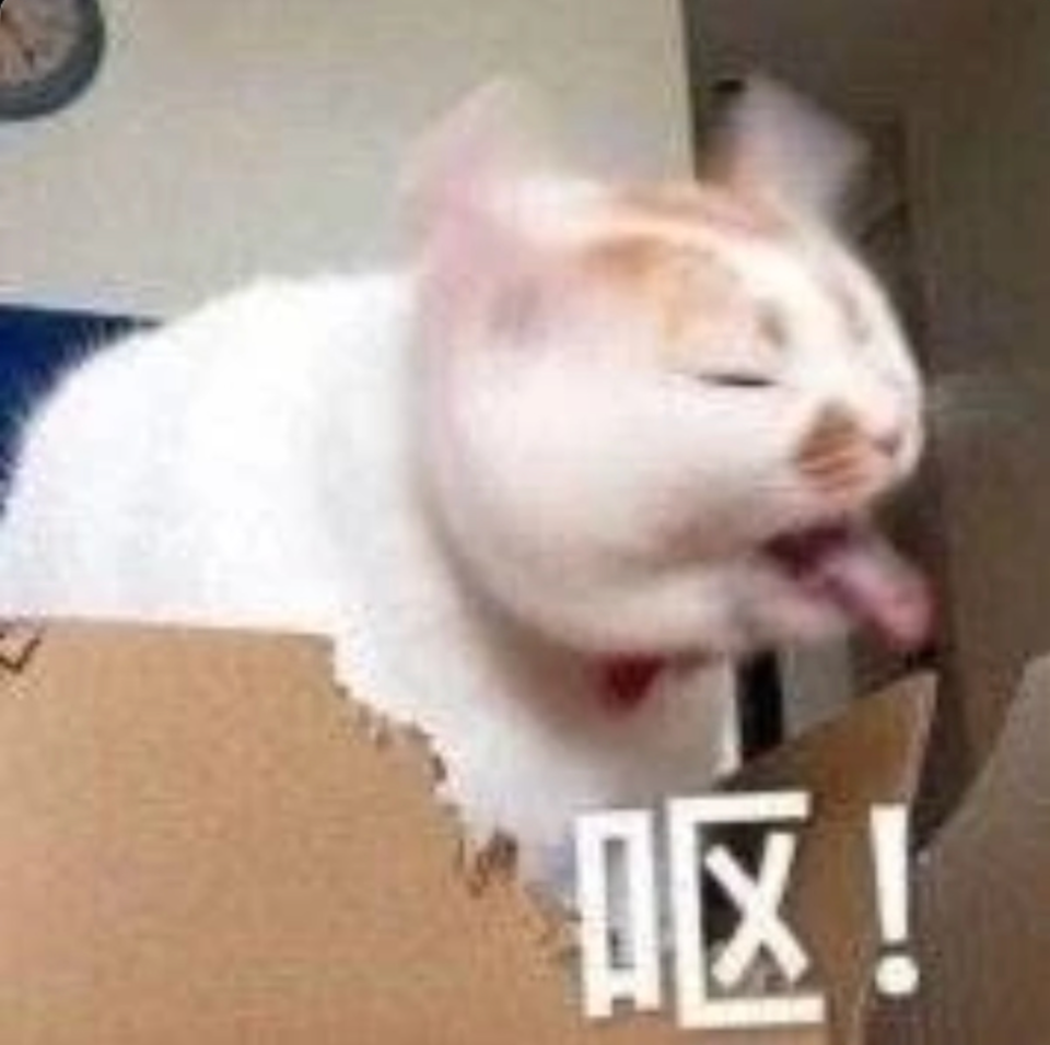 ZH99L9HY8L8jYlS1.jpg