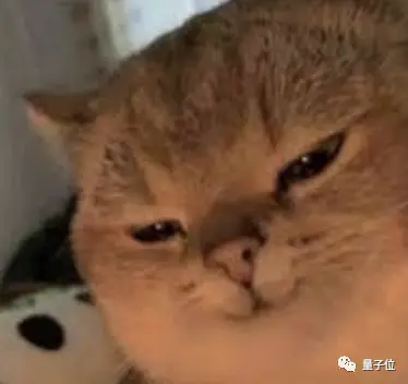 lsNhn2CXPchHaAno.jpg