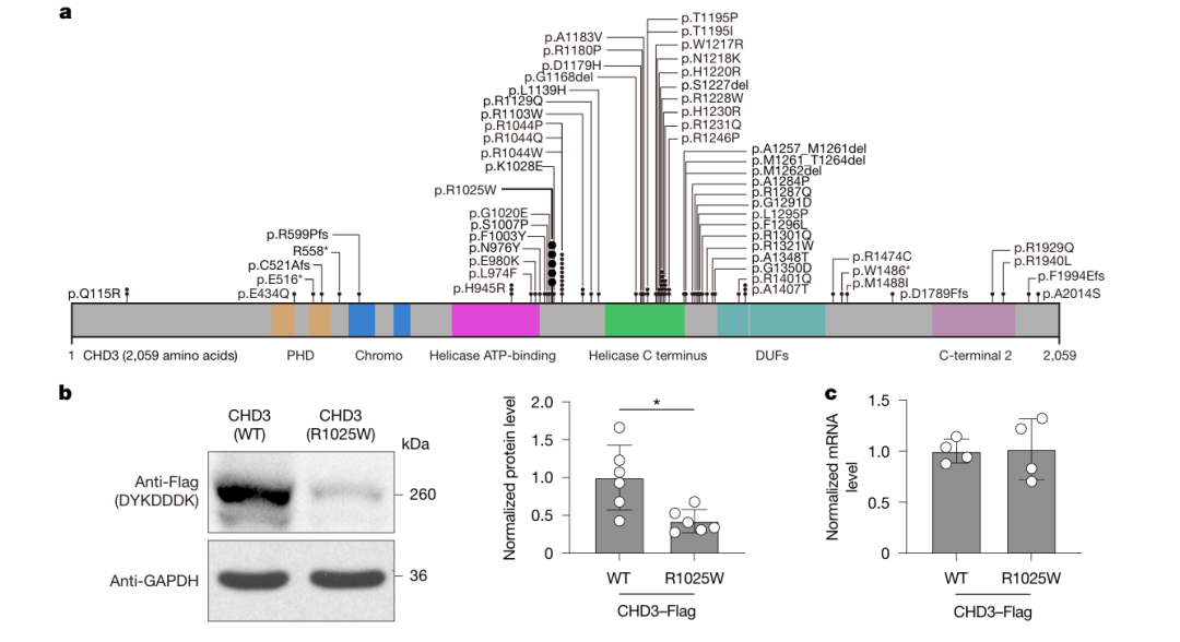 PzS5h9oOhdOm45z4.jpg