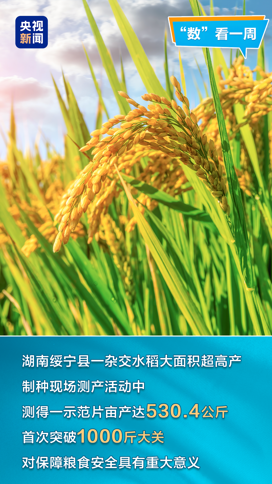 H225I4ubCb5a424a.jpg
